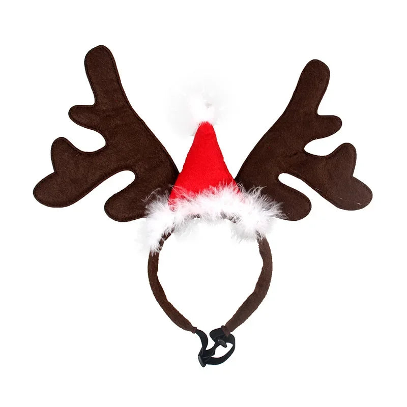 Pet Reindeer Antlers & Santa Hat
